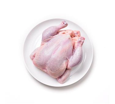 whole chicken icon