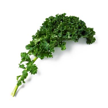 kale icon