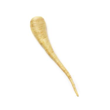 parsnip icon