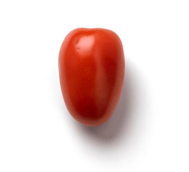 very ripe Roma tomato icon