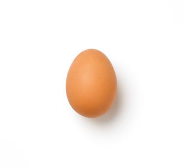 large egg white icon