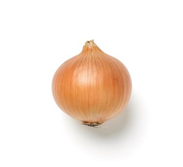 large onion icon