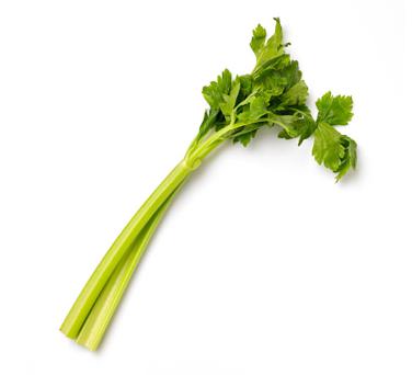 stalk celery icon