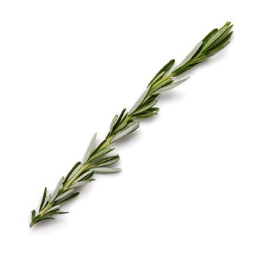 5-inch sprig rosemary, leaves picked  icon
